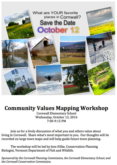 Community Values Mapping Workshop