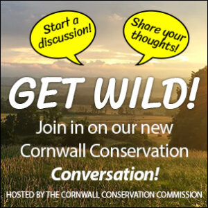 Get Wild! Join in o our Cornwall Conservation Conversation!